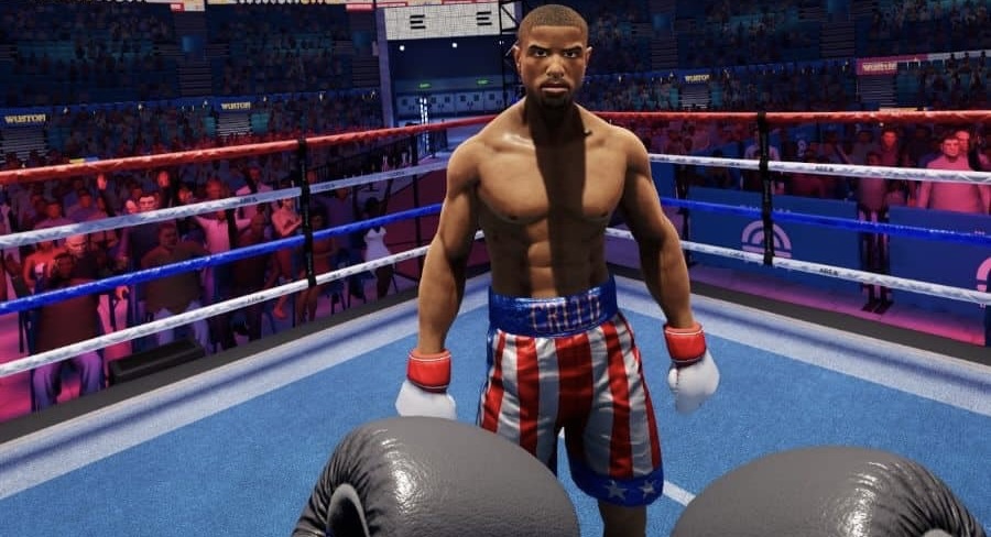 VR game character stands in the ring